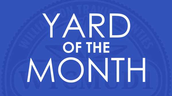 Yard of the month